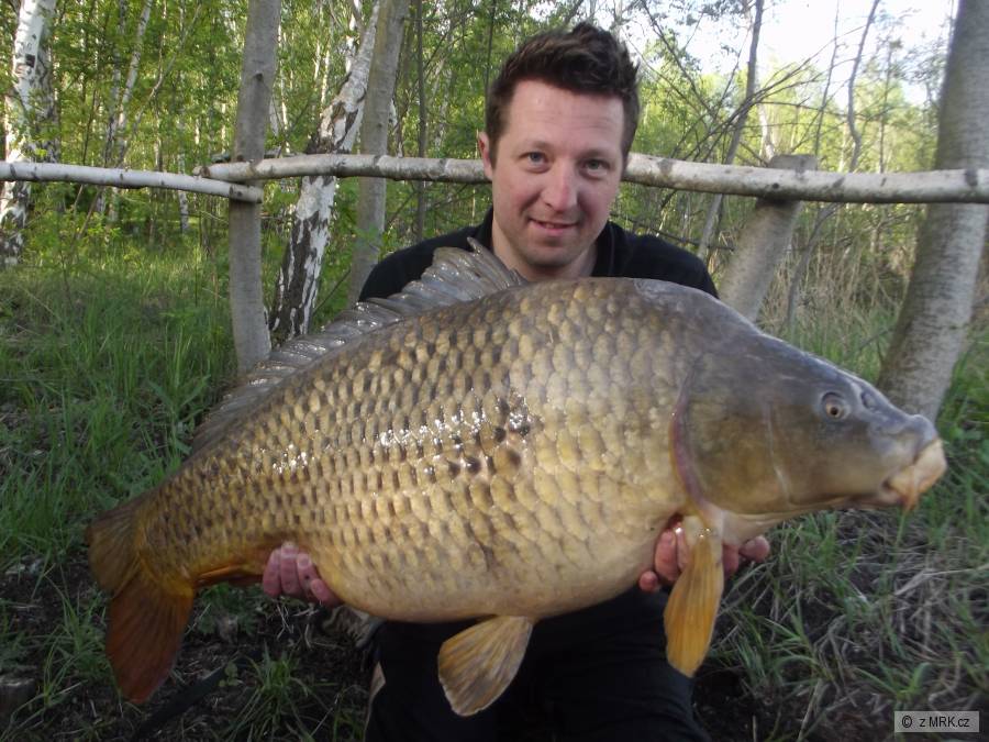 103cm 24kg