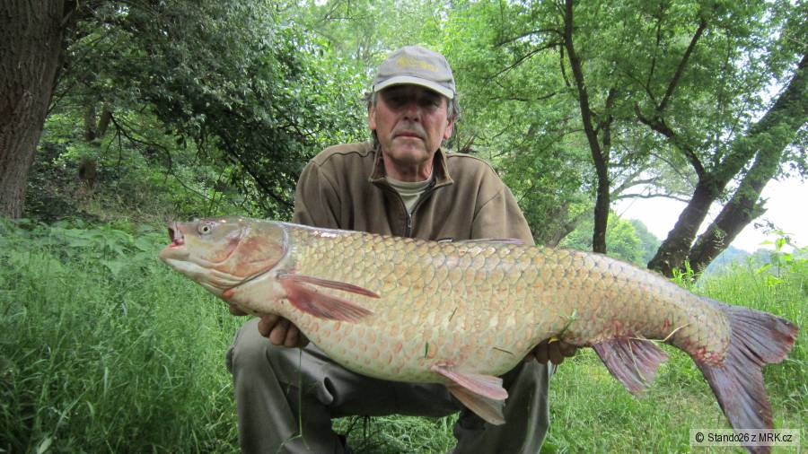 Amur 110cm 18kg