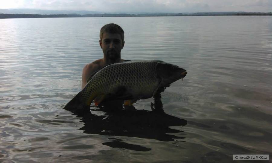 Kapr 83cm - 10kg - sezona 2014