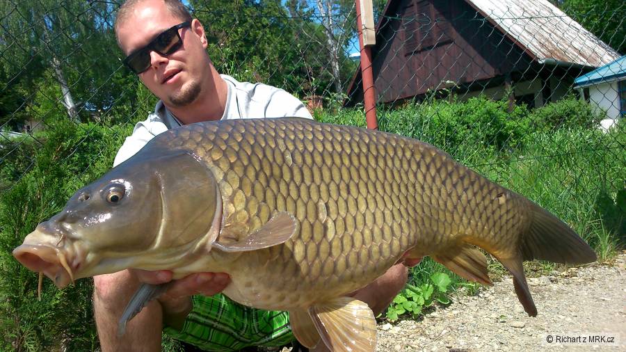 Cana - nove jazero 75 cm 9.2 kg