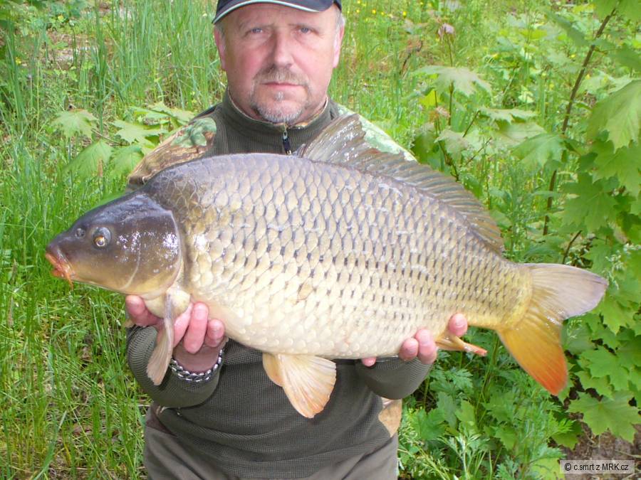2015-zase do 10kg