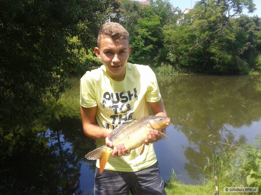 kapřík na feeder 48cm