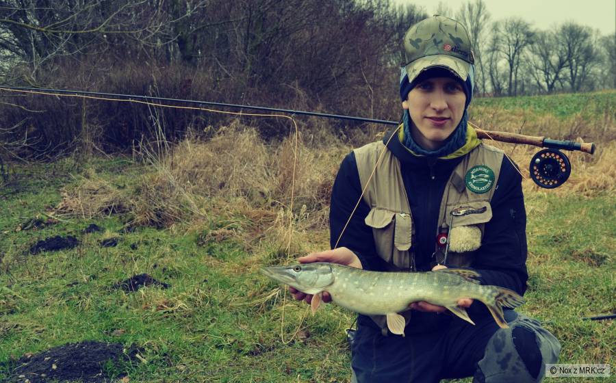 Pike fly fishing