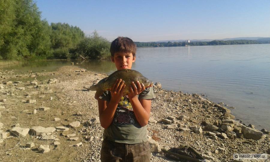 Pidiryba