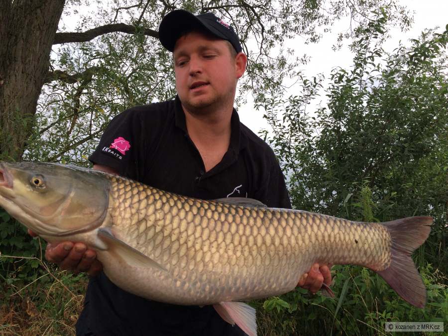 Amur 93 cm- 11,50 kg
