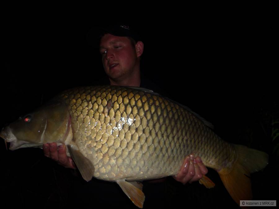 14,50 kg