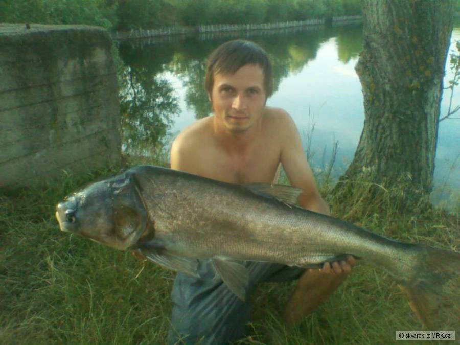 tolstolobik 100cm