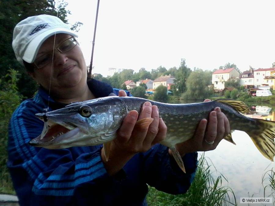 Štička