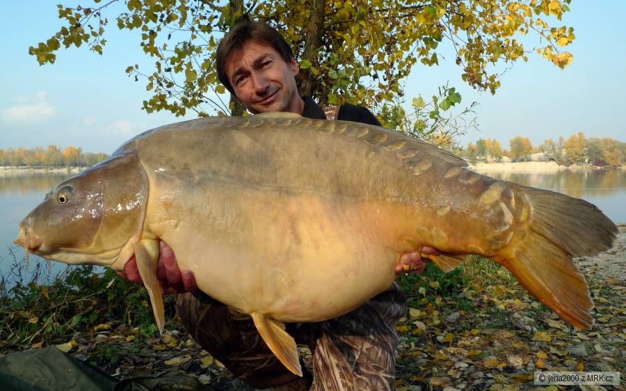 28kg