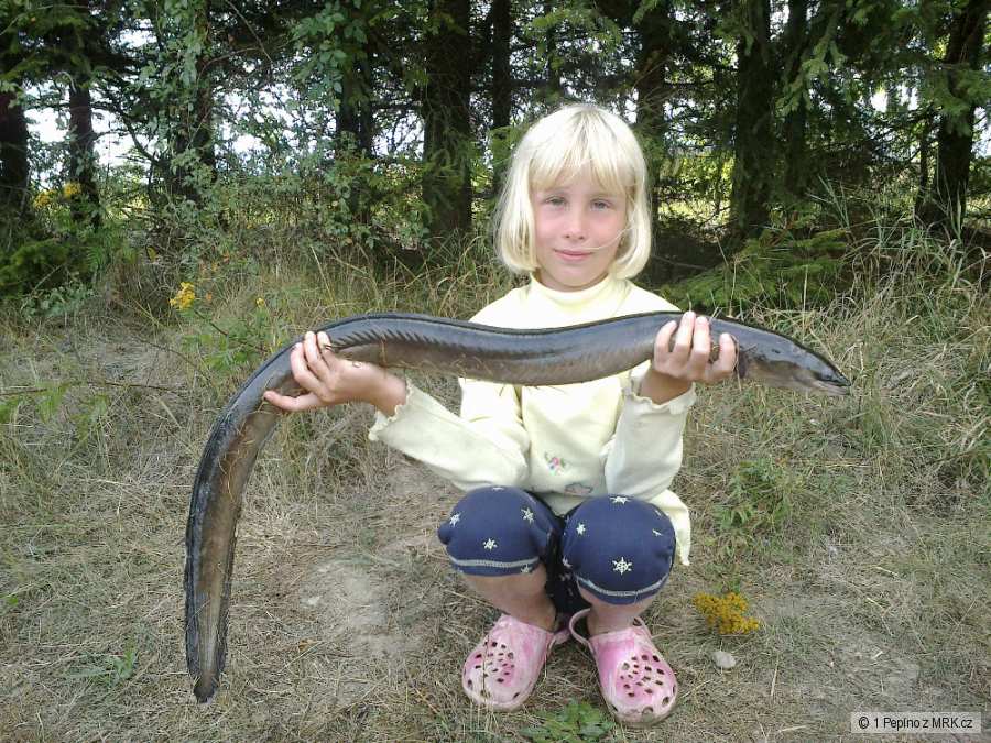 98