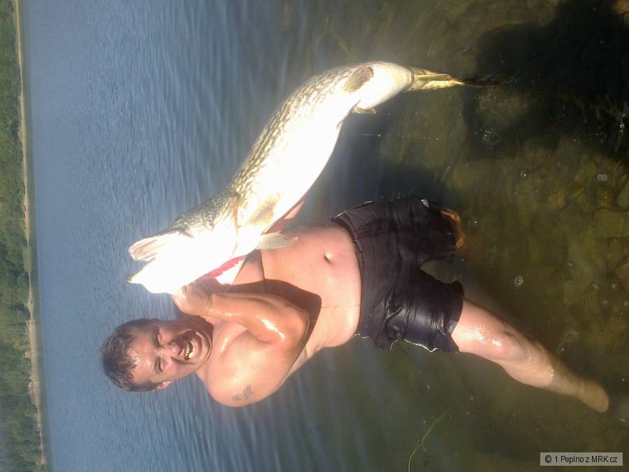 133cm -18kg