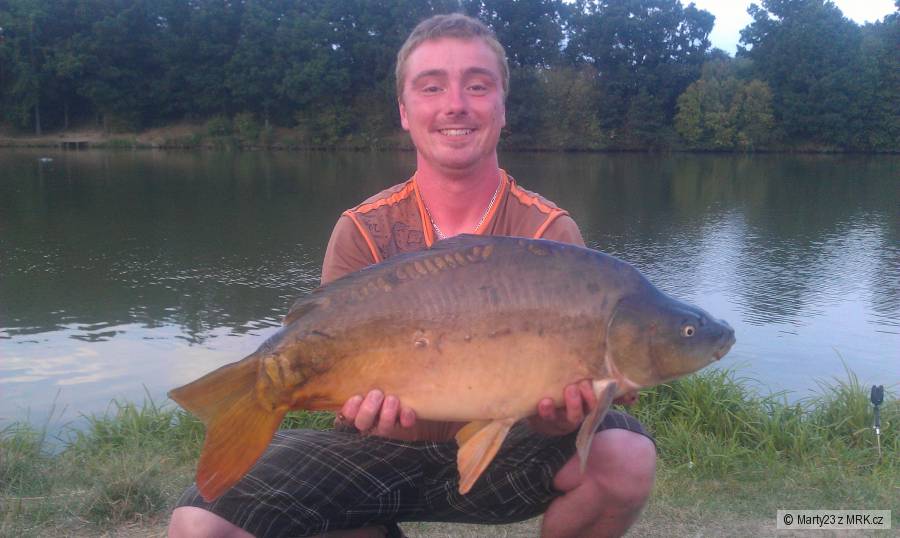 Lisec 8 kg