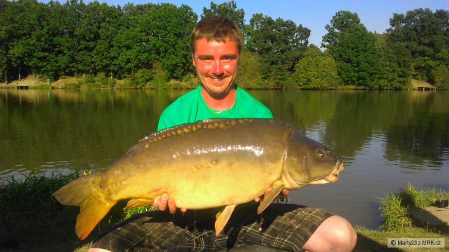 Liseček 12kg