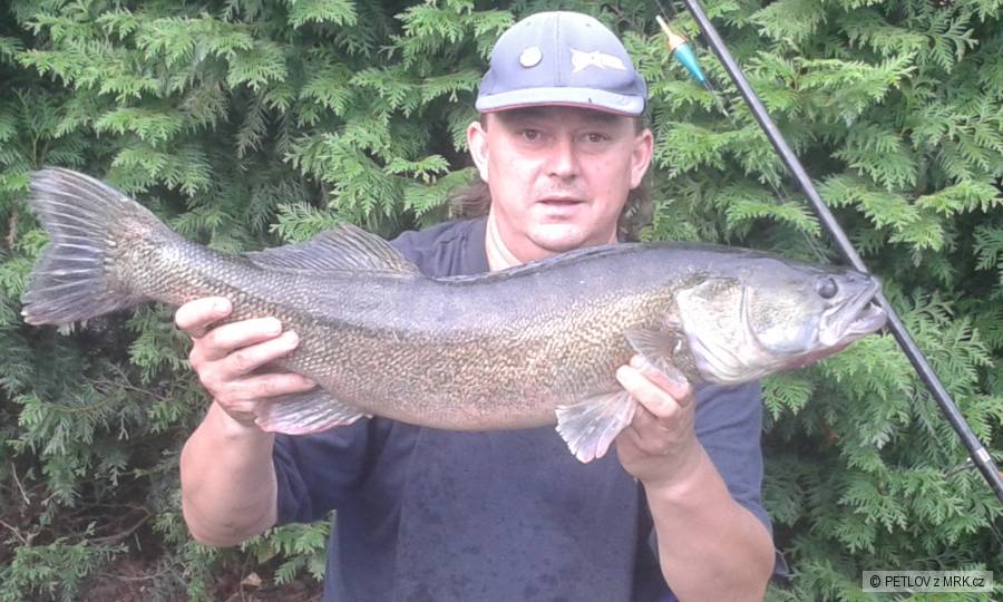 Candat 82cm ....5,10kg