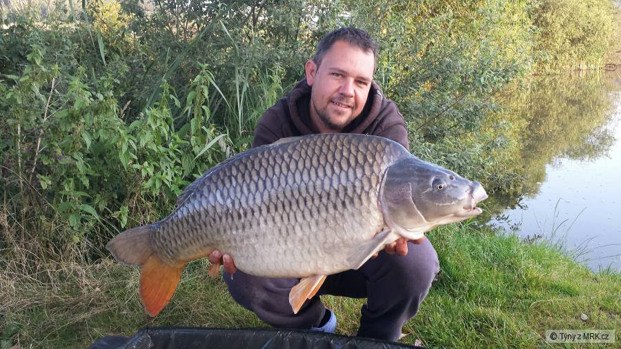 15,70 kg