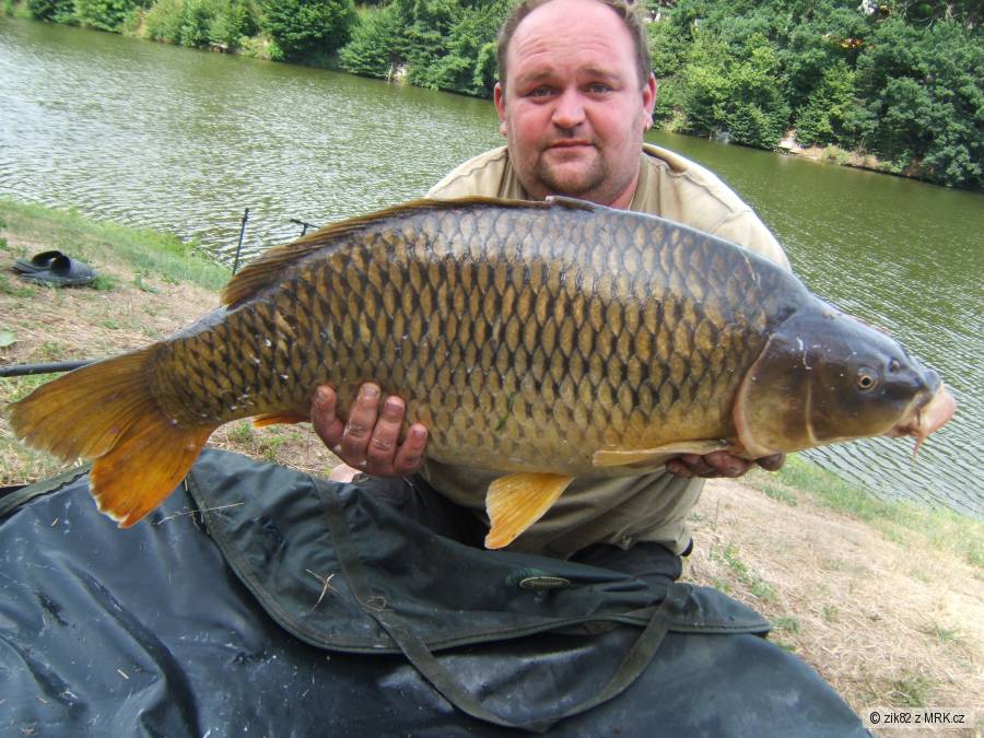 80cm 12,8kg