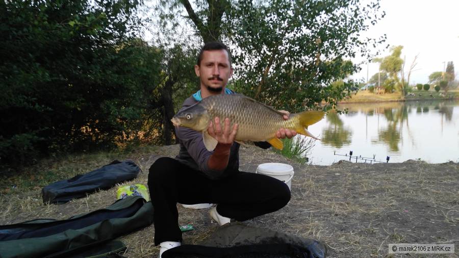 Šurany 2015