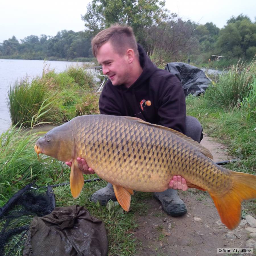 kapr 91cm 14,60Kg
