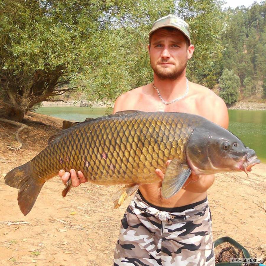 Dalešickej osobáček 88cm/10kg
