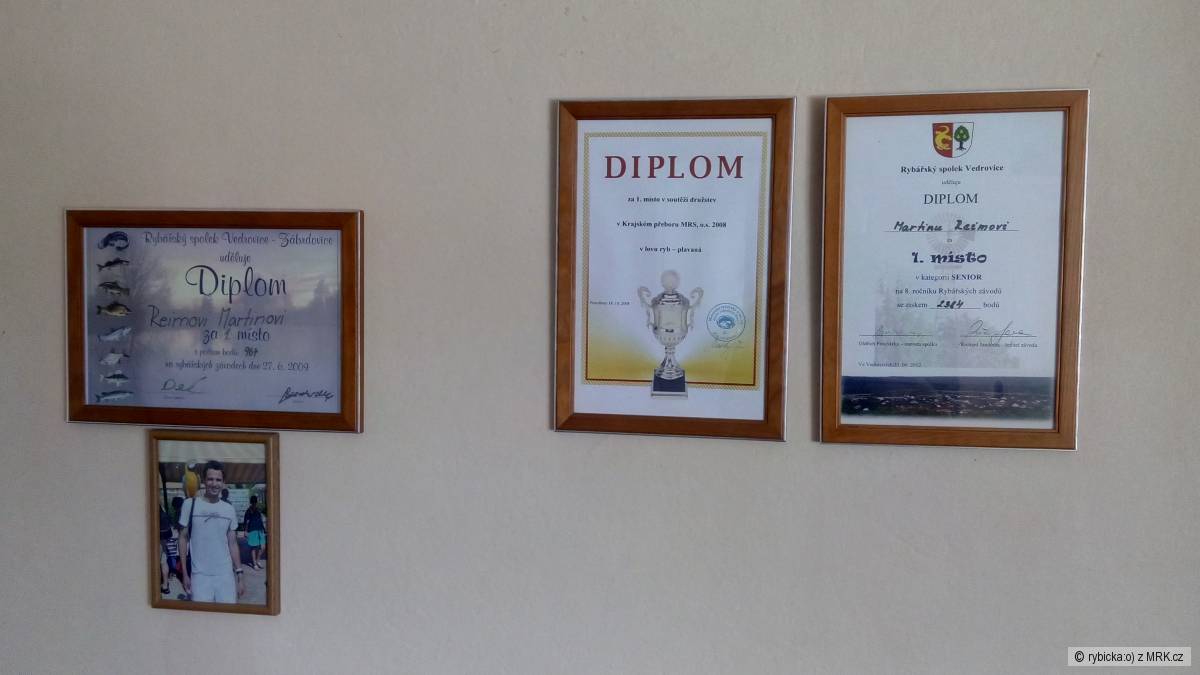 diplomy