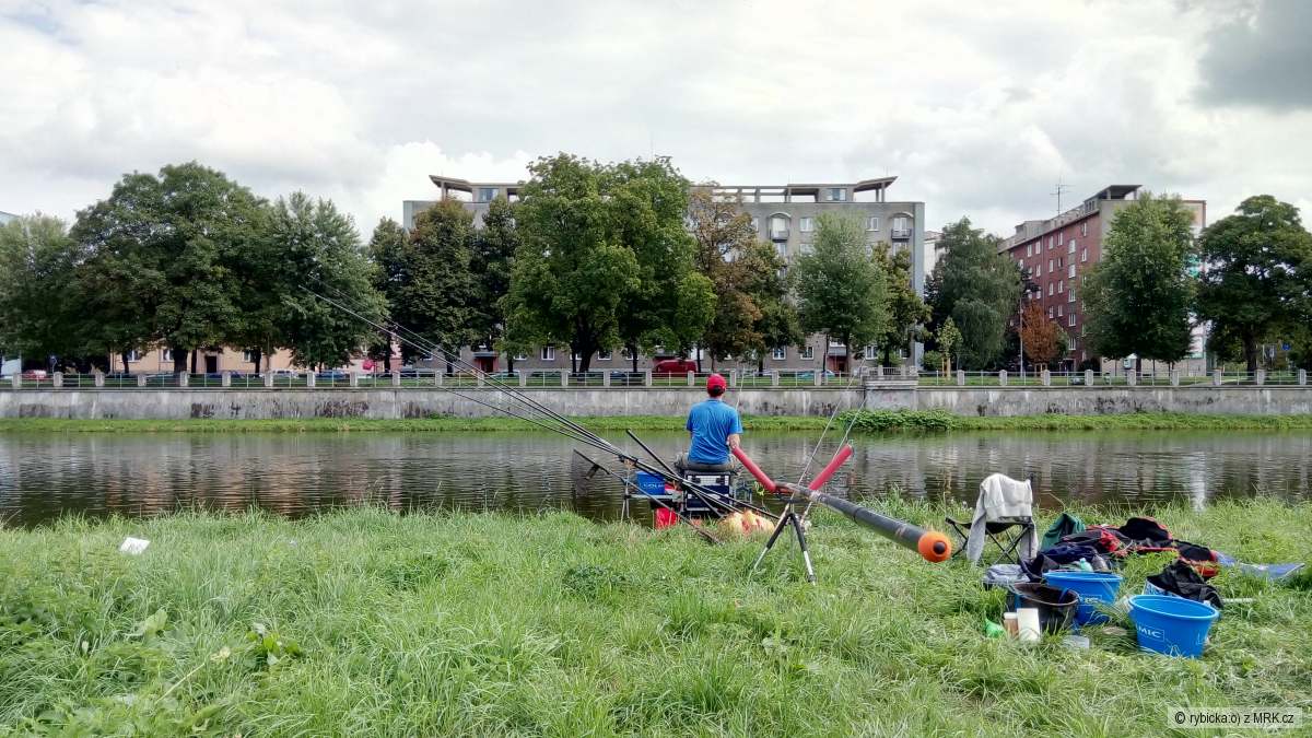 závody 2