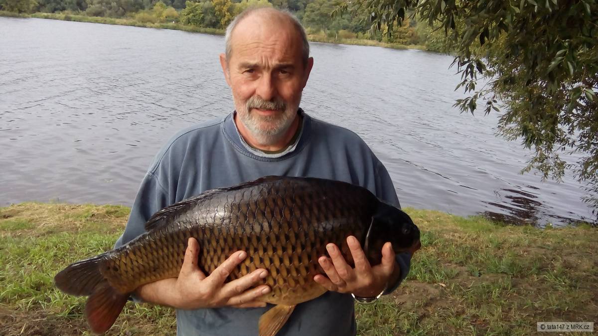 kapřík