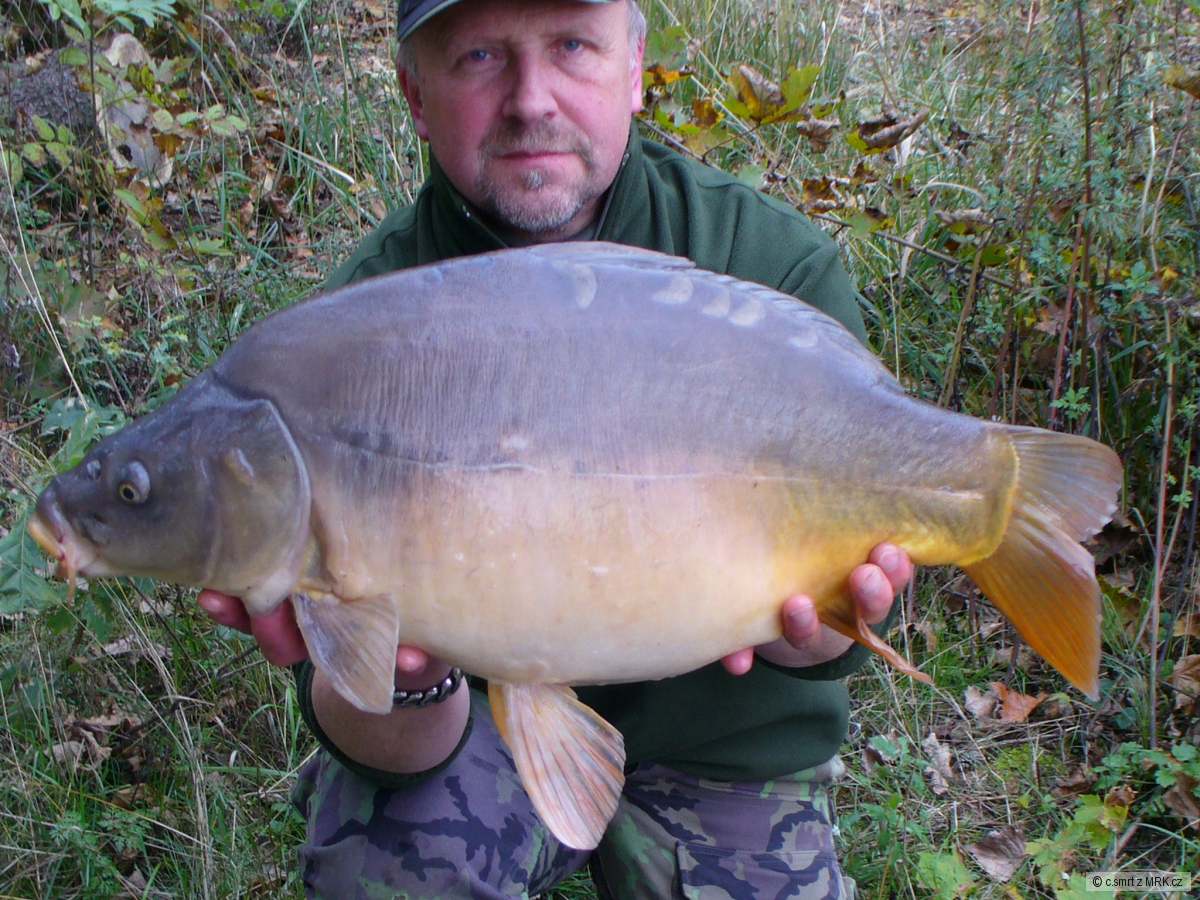 Jenom 70cm