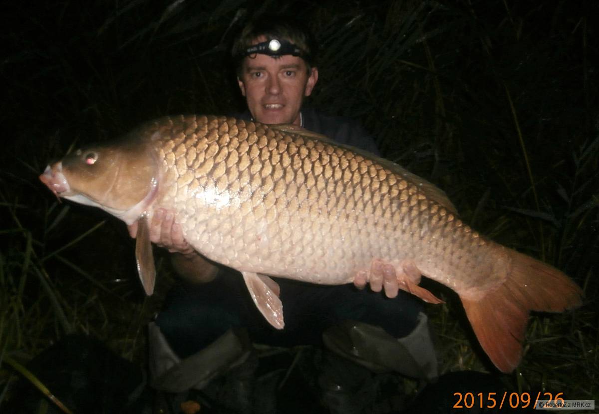 13,30 kg