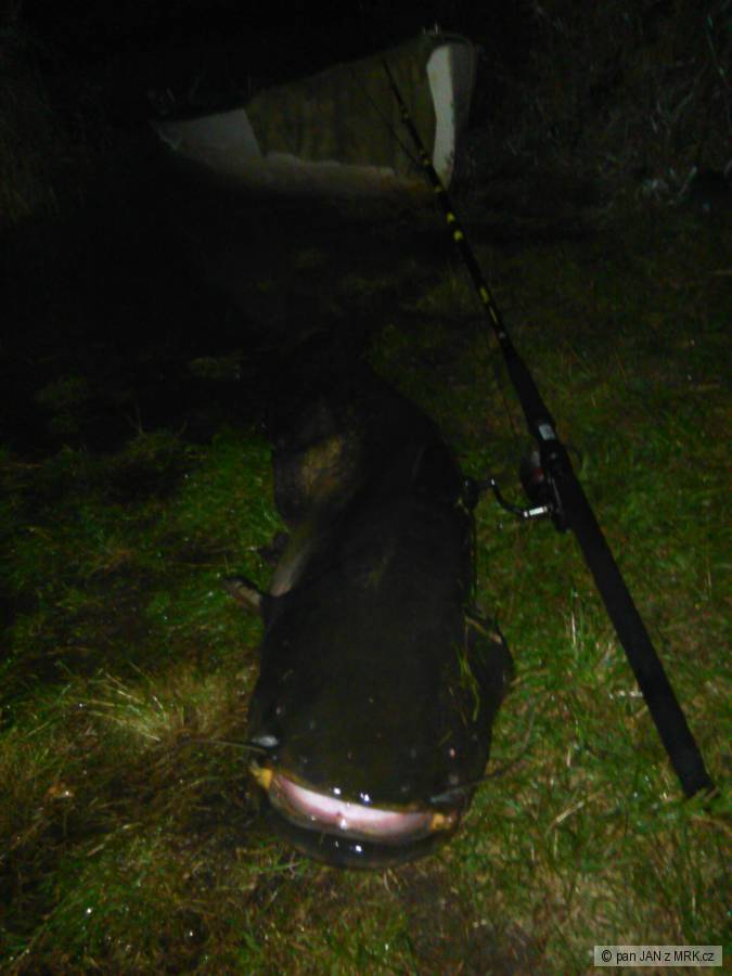 sumatra 182 cm a 40 kg