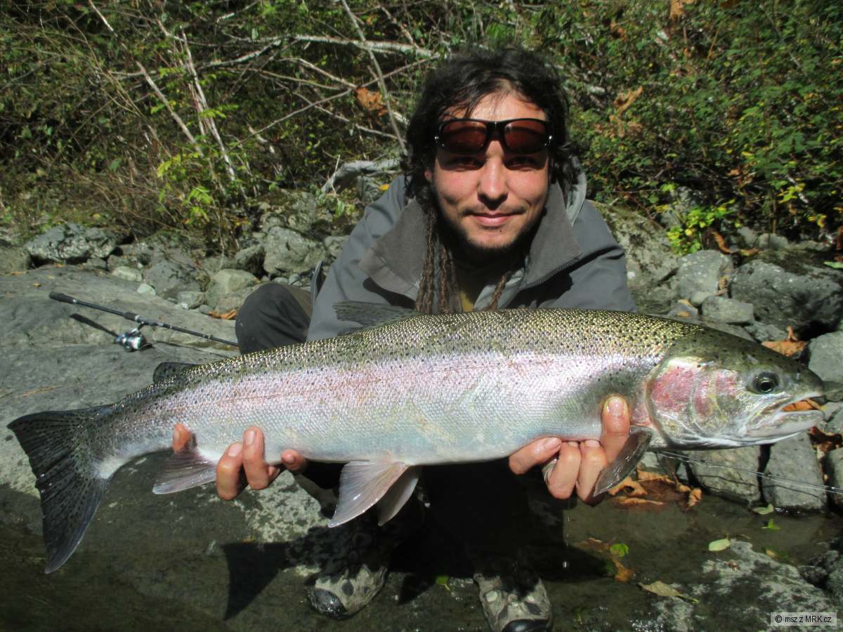 Steelhead