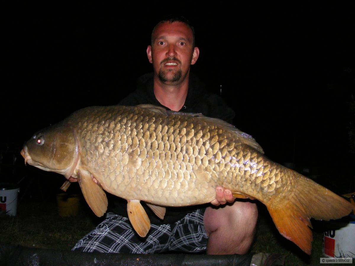 16 kg