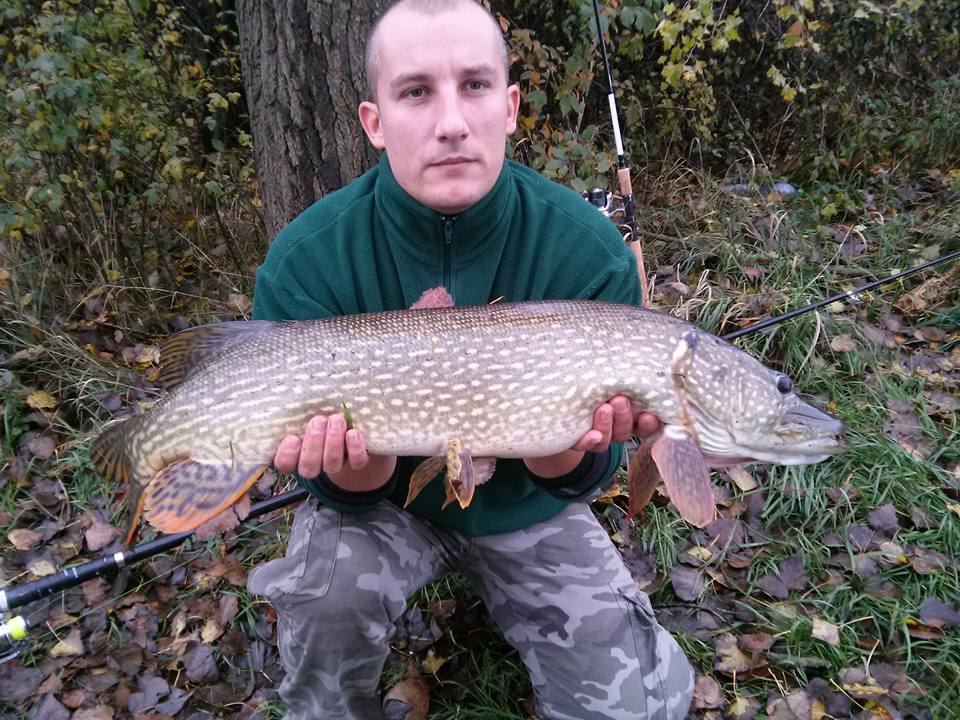 Šťuka 91 cm