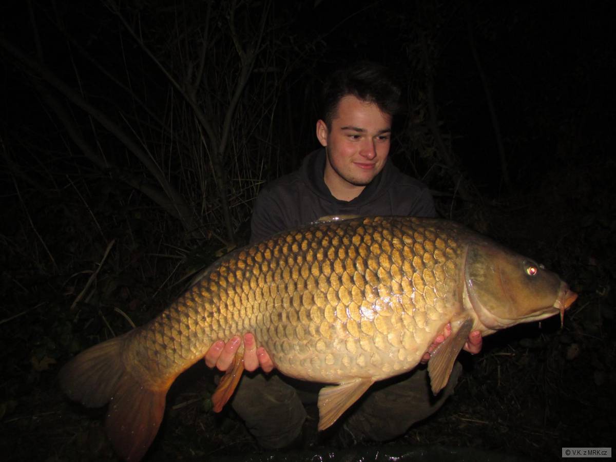 12,20 Kg