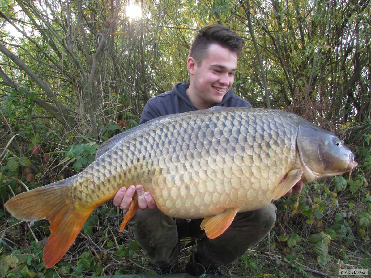 15,80 Kg