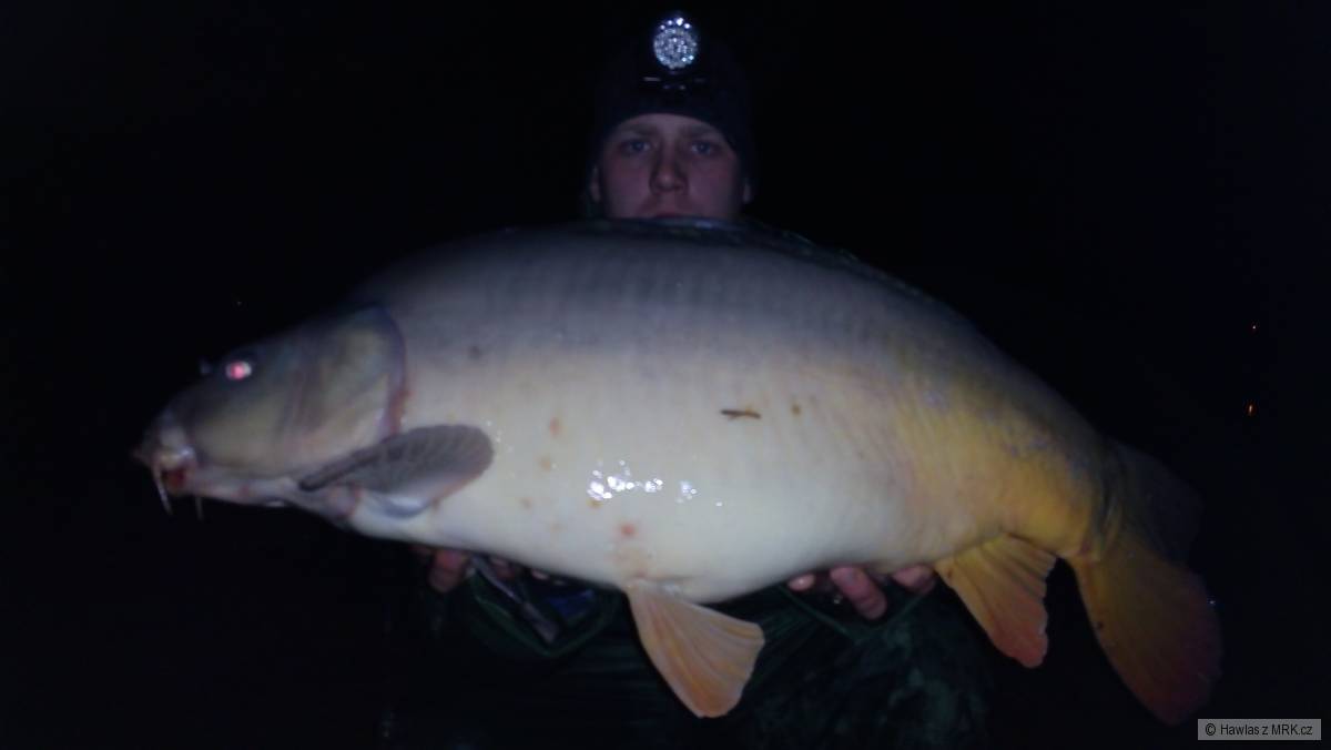 14 kg lysec