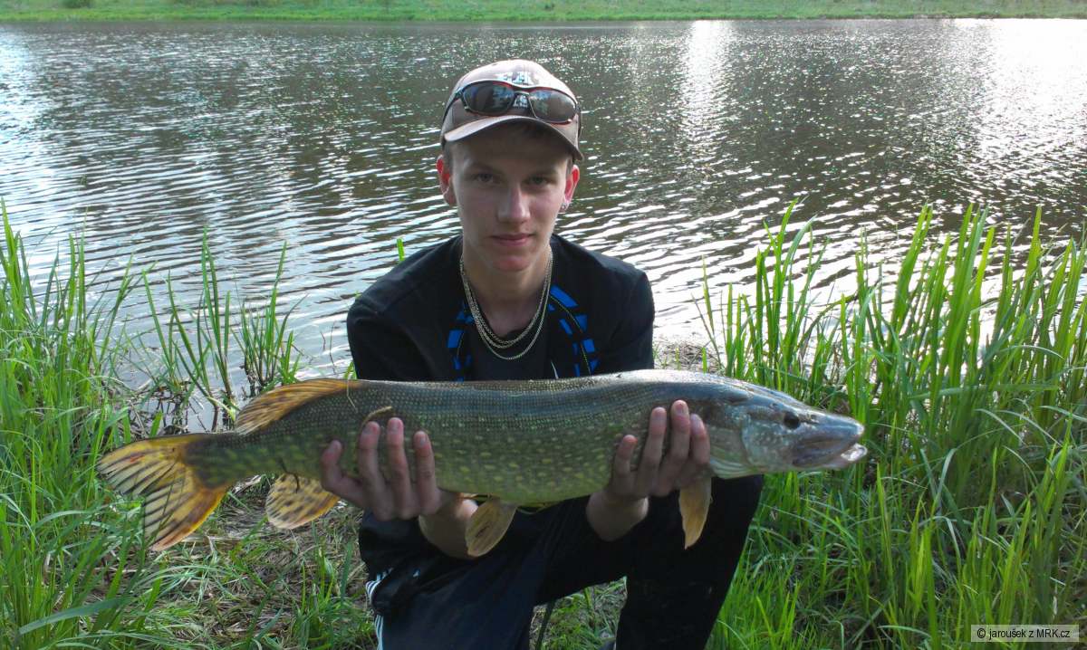 Štička