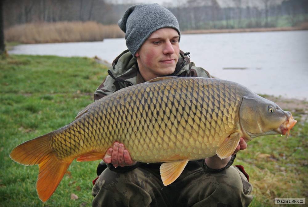 Šupináč