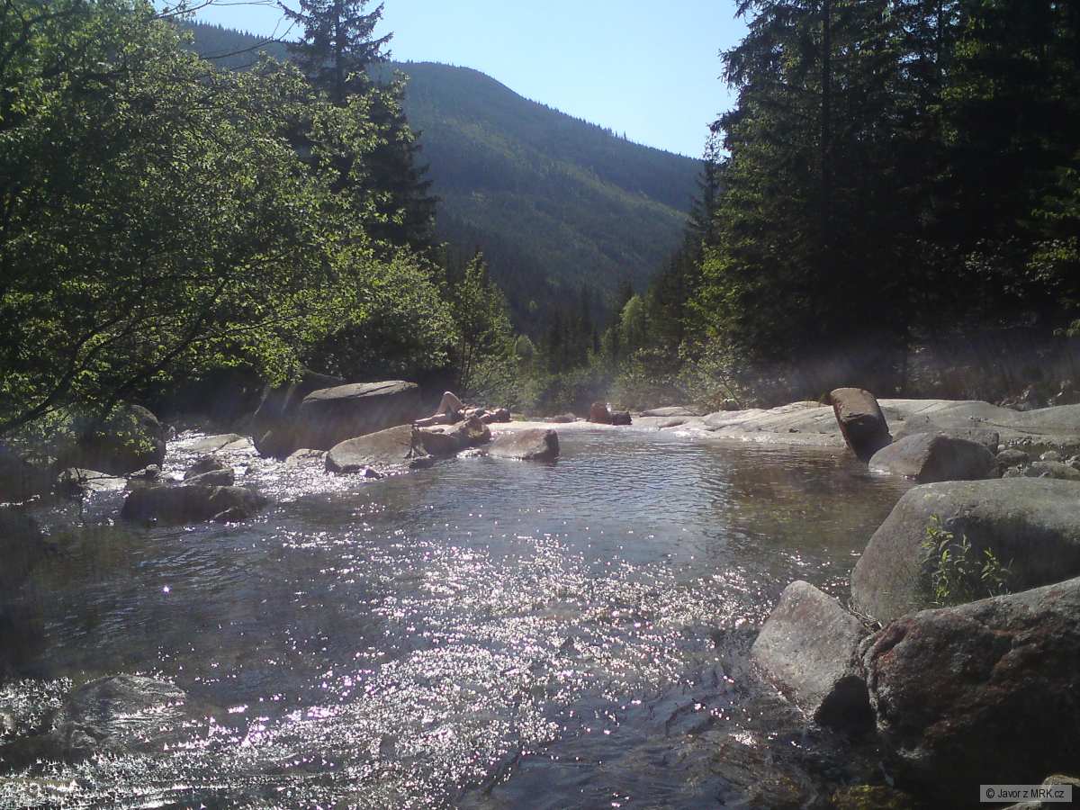 bile labe krkonoše