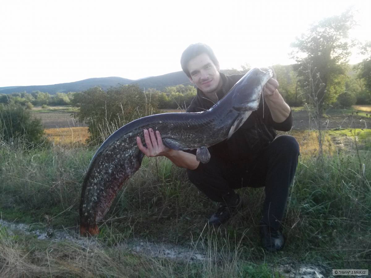 Sumec 120cm