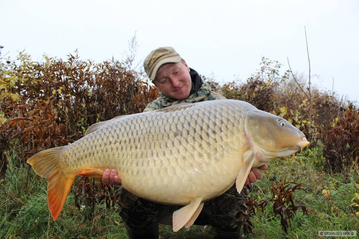 20,60 kg