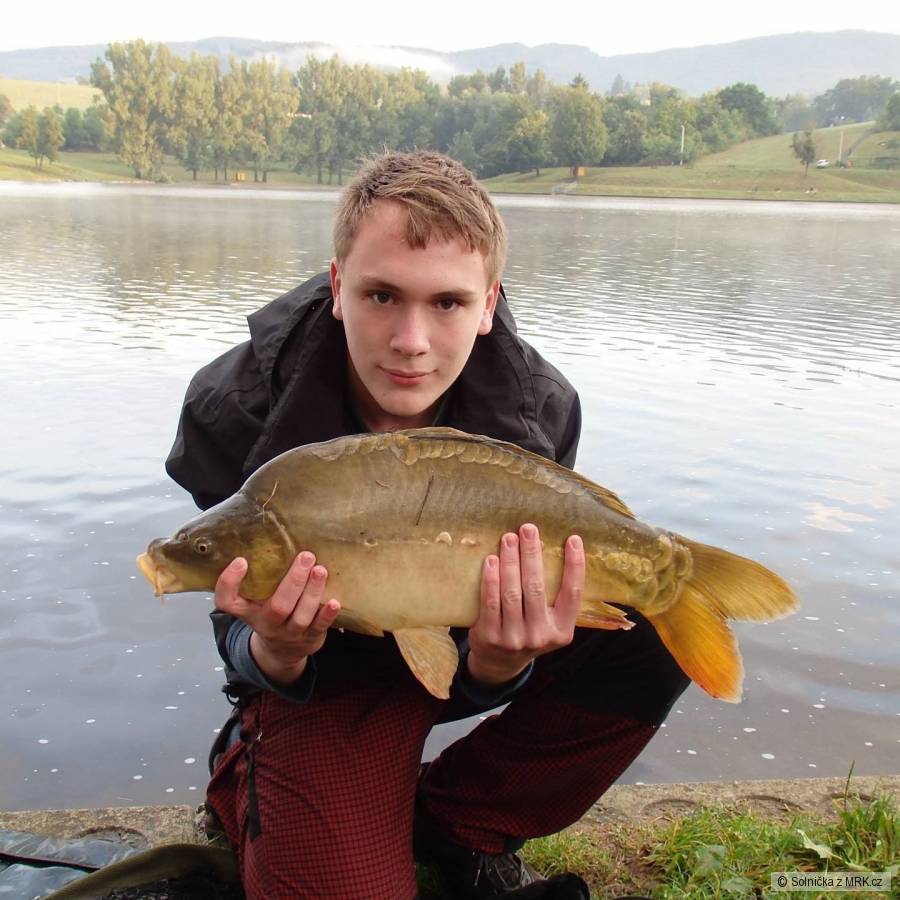 Kapr 64cm a 6 kg