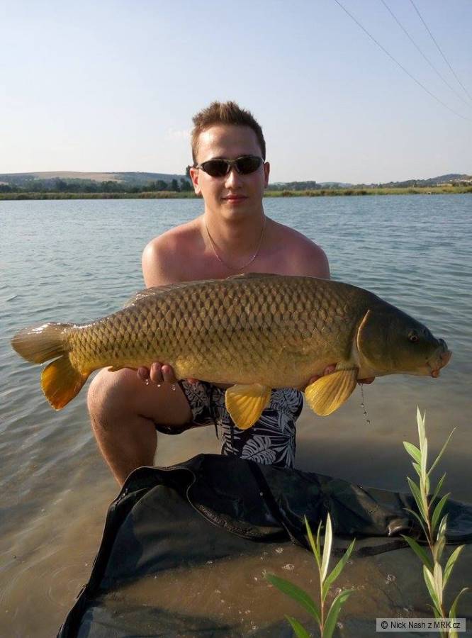 Jeden pěkný ropšín
