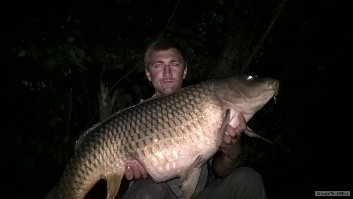 Kapr 93cm 15kg