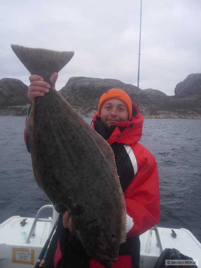 halík