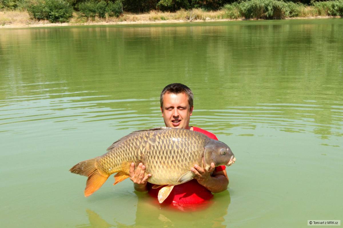 Kapr 95cm 18 Kg