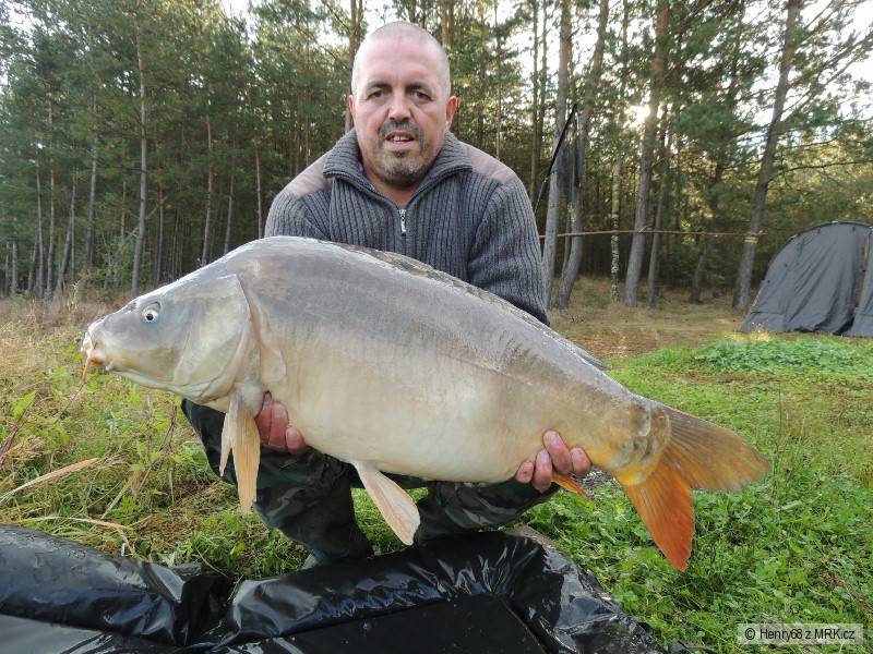 Kapr 12 kg