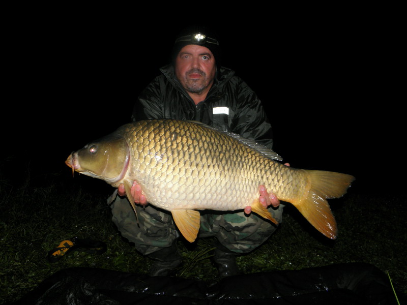Kapr 11 kg