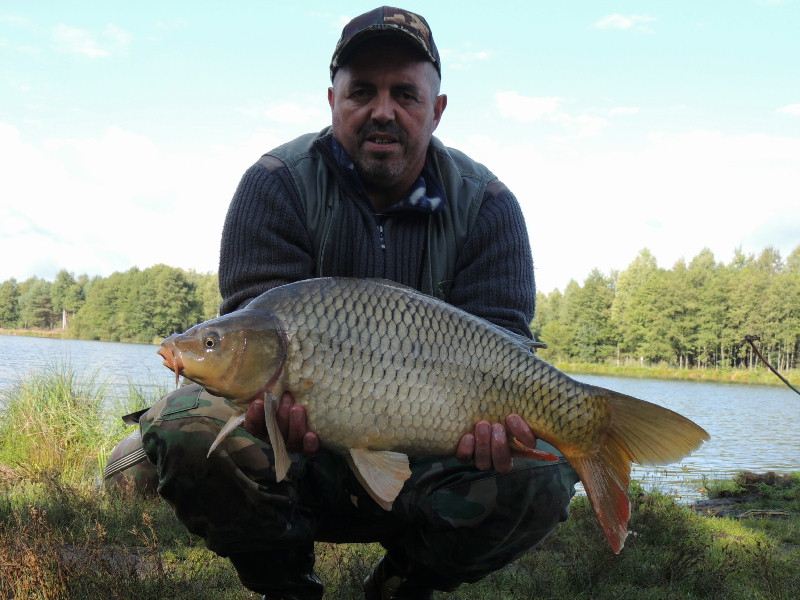 Kapr 5 kg