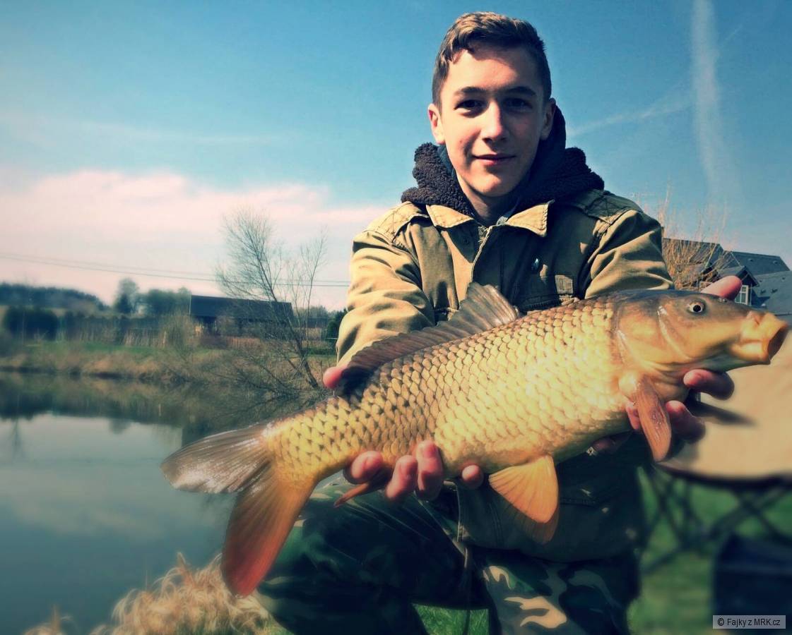 Jarní kapřík - feeder