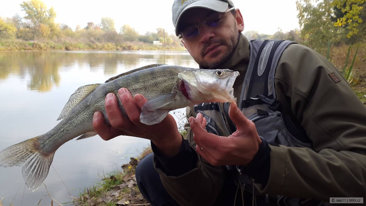 Přívlač 2015